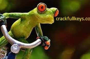Screaming Frog Crack 16.4