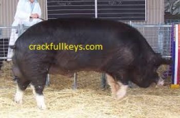Breed Animal Farm Crack V2.1.950a